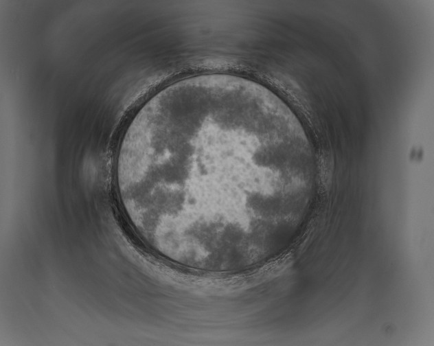 X0000088850016200706291505