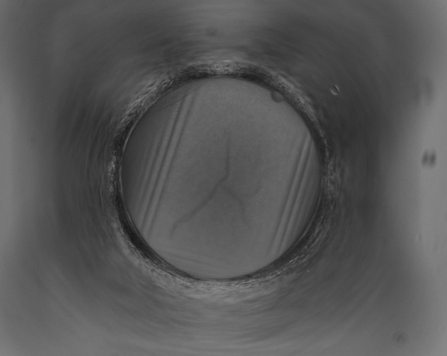 X0000088850018200706291505