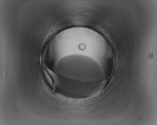 X0000088850019200706291505