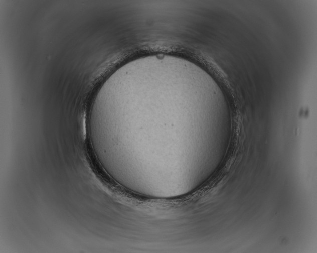 X0000088850020200706291505