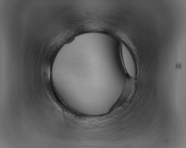 X0000088850021200706291505