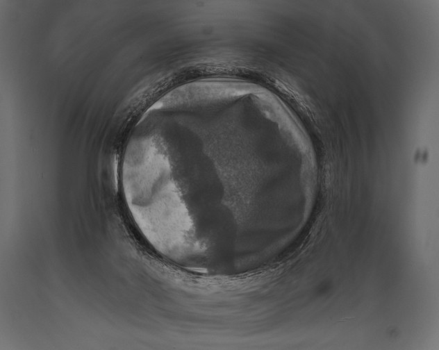 X0000088850022200706291505