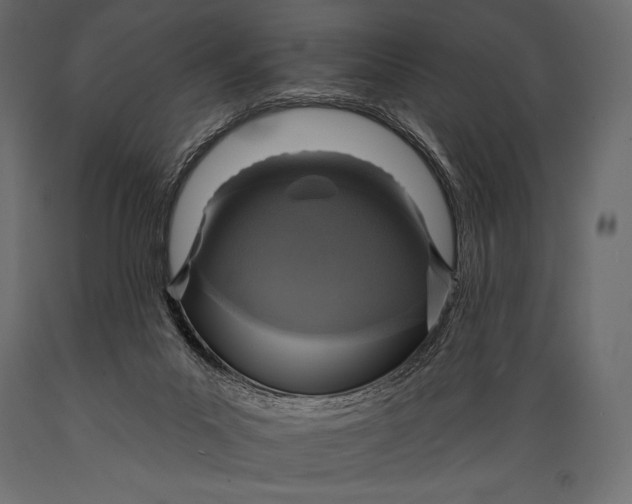 X0000088850023200706291505