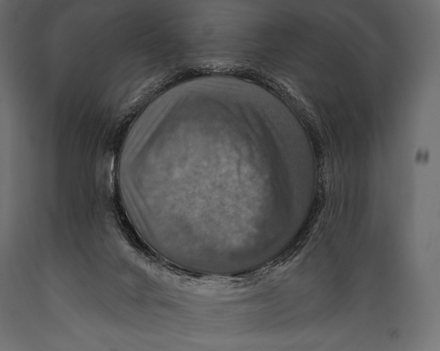 X0000088850024200706291505