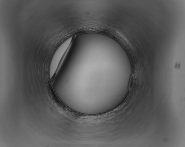 X0000088850025200706291505