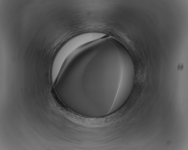 X0000088850027200706291505