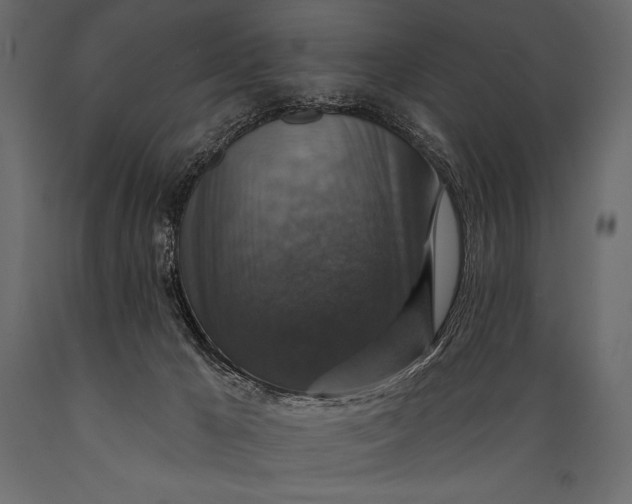 X0000088850029200706291505