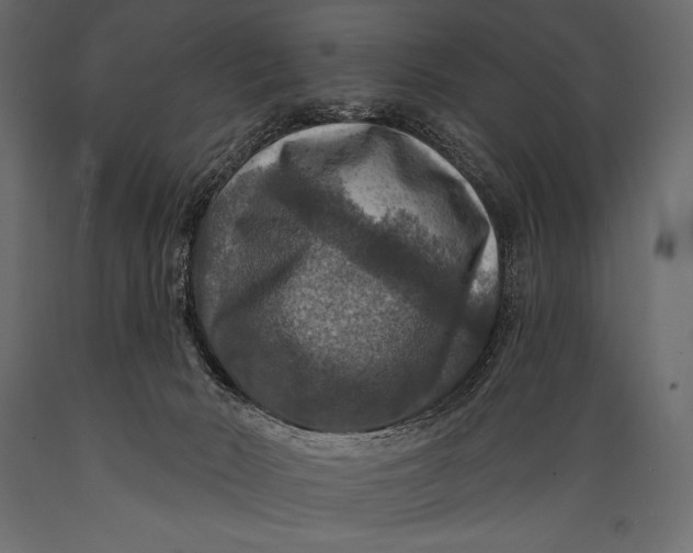 X0000088850030200706291505