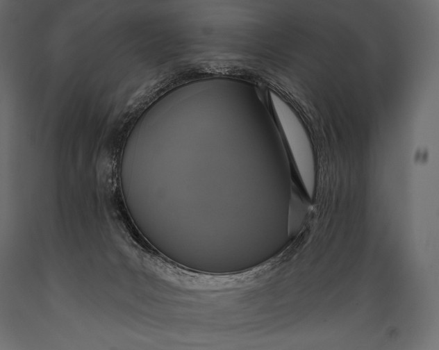 X0000088850031200706291505