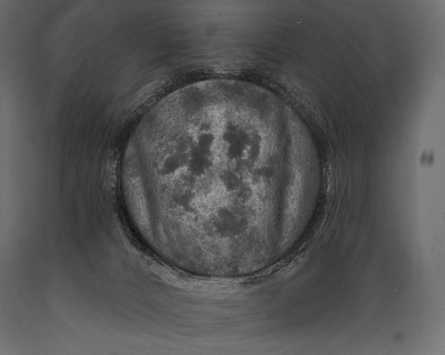 X0000088850032200706291505