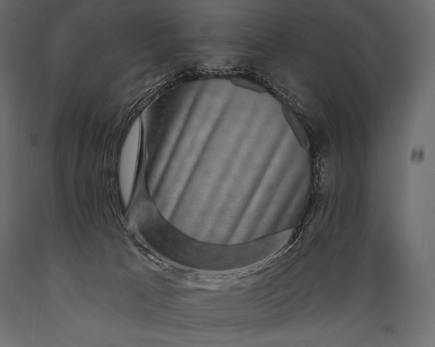 X0000088850033200706291505