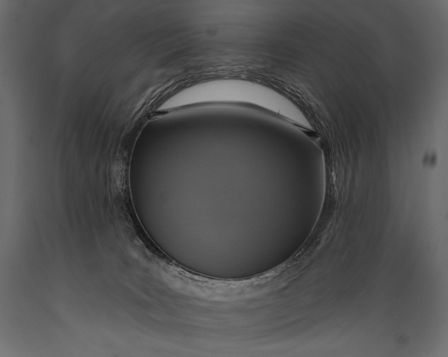 X0000088850035200706291505