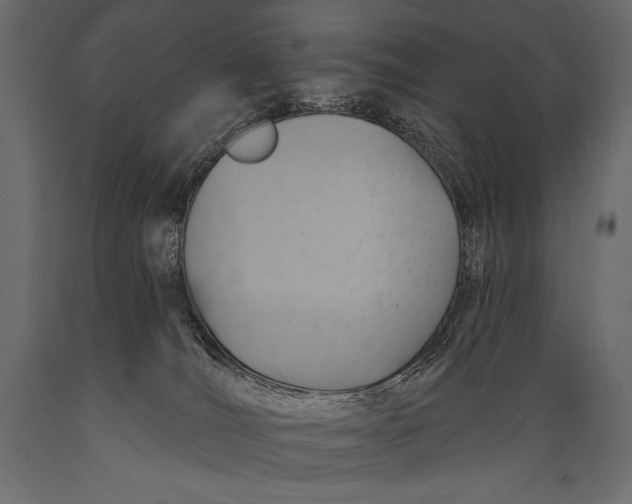 X0000088850036200706291505