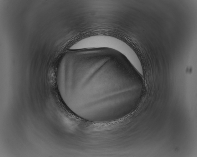 X0000088850037200706291505