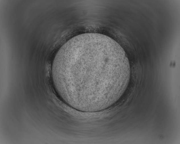 X0000088850038200706291505