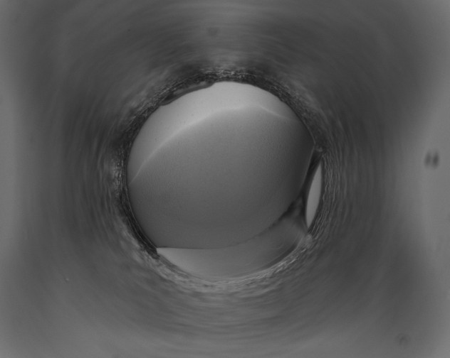 X0000088850039200706291505