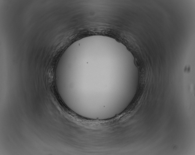 X0000088850040200706291505