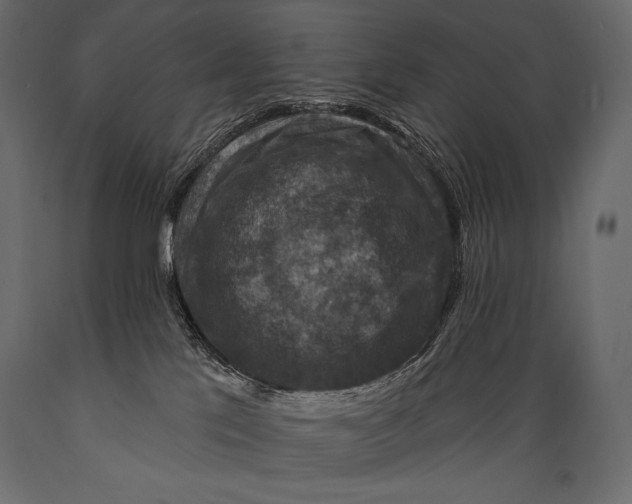 X0000088850041200706291505