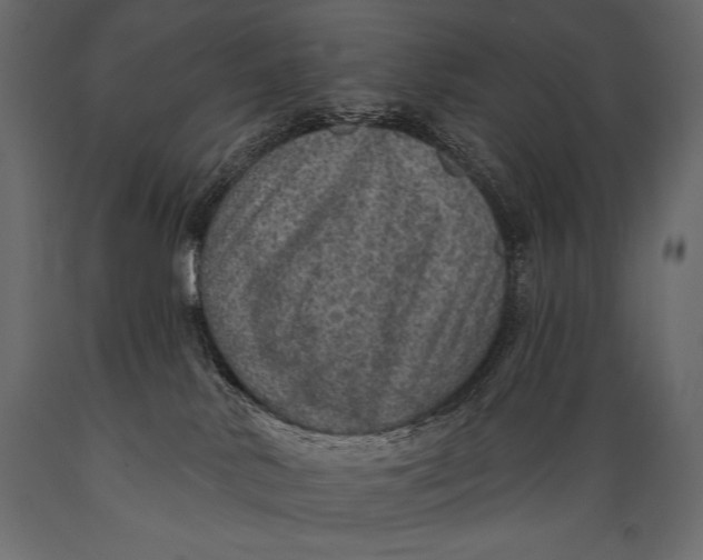 X0000088850042200706291505