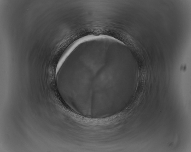 X0000088850043200706291505