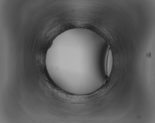 X0000088850044200706291505