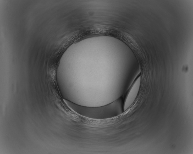 X0000088850045200706291505