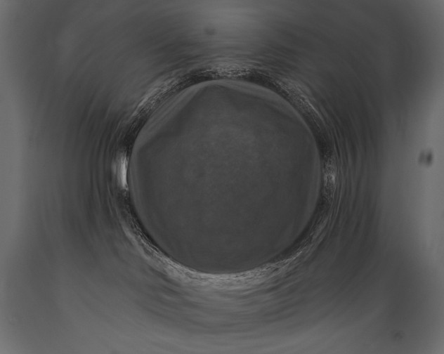 X0000088850046200706291505