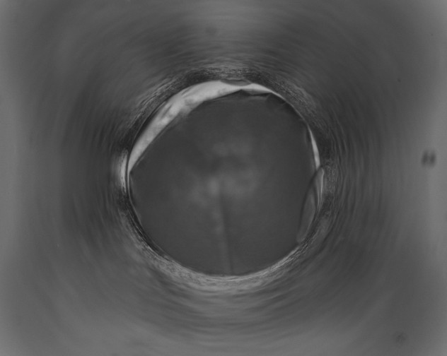 X0000088850047200706291505