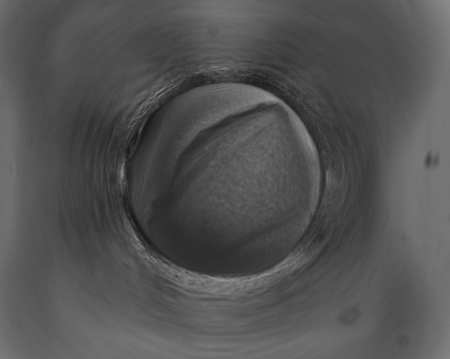 X0000088850048200706291505