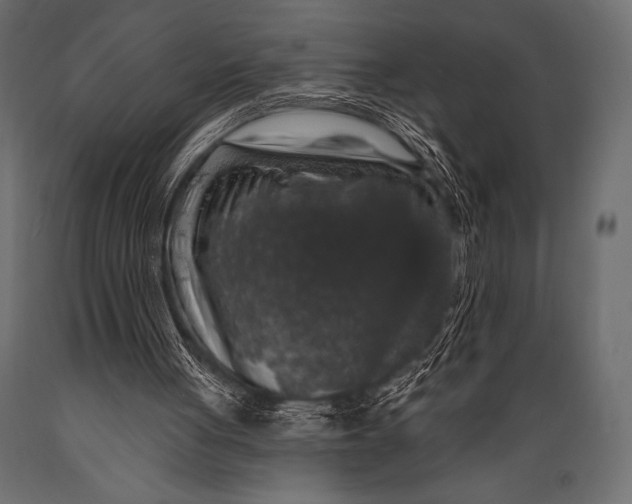 X0000088850051200706291504