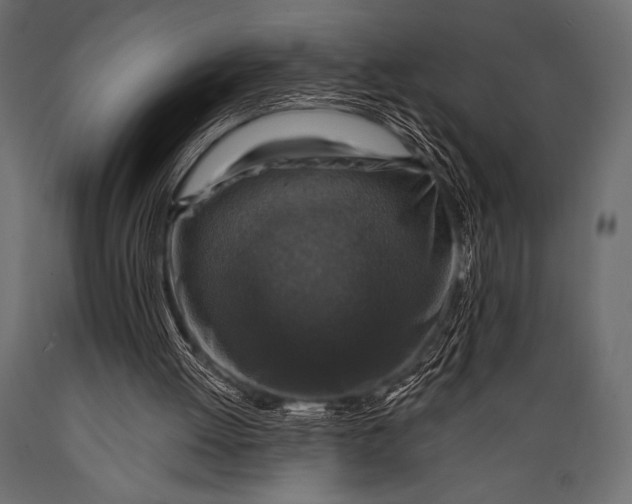 X0000088850052200706291504