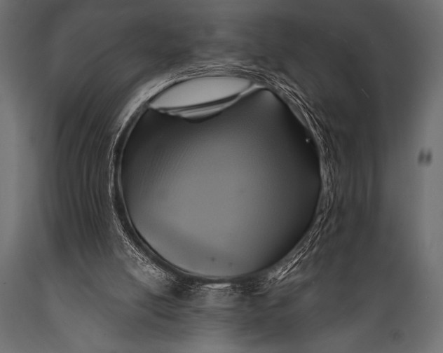 X0000088850054200706291504