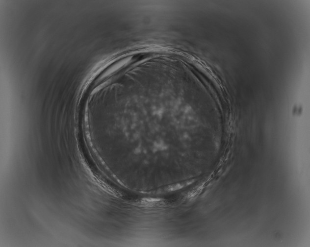 X0000088850055200706291504