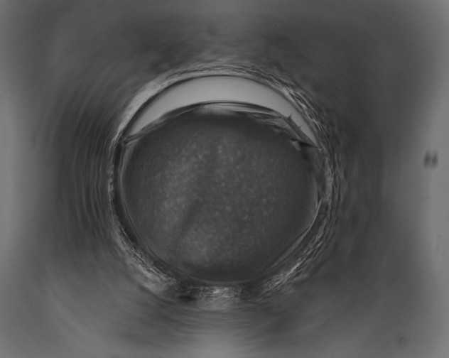 X0000088850056200706291504