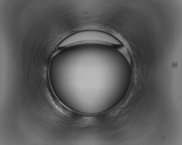 X0000088850057200706291504