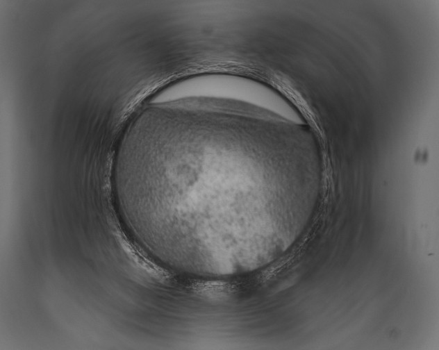 X0000088850058200706291504