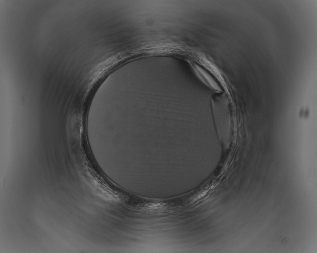 X0000088850059200706291504