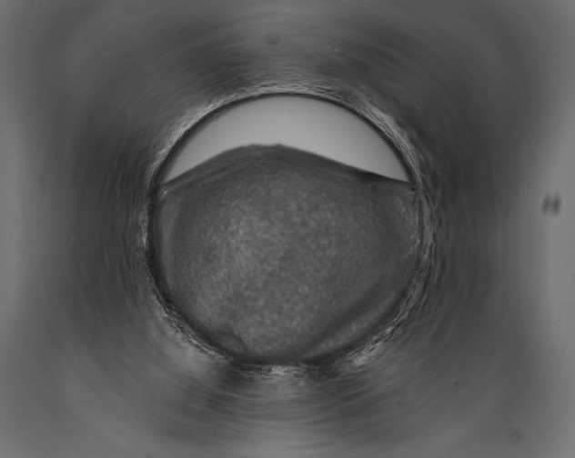 X0000088850060200706291504