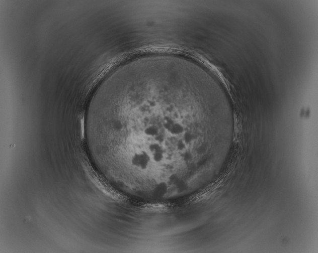 X0000088850061200706291504