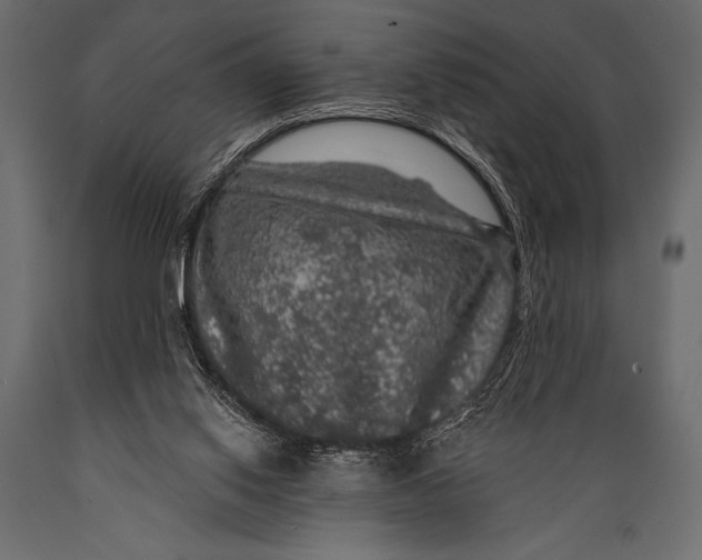 X0000088850062200706291504