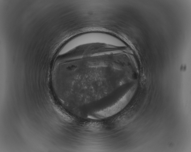 X0000088850063200706291504