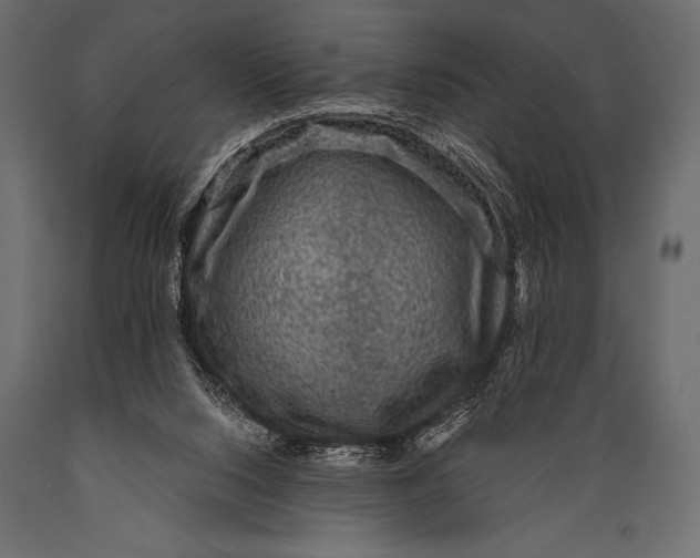 X0000088850064200706291504