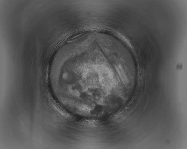 X0000088850065200706291504