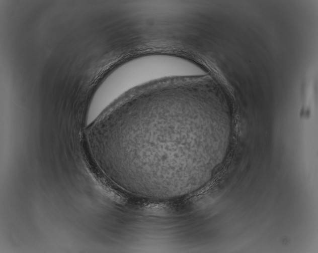 X0000088850066200706291504