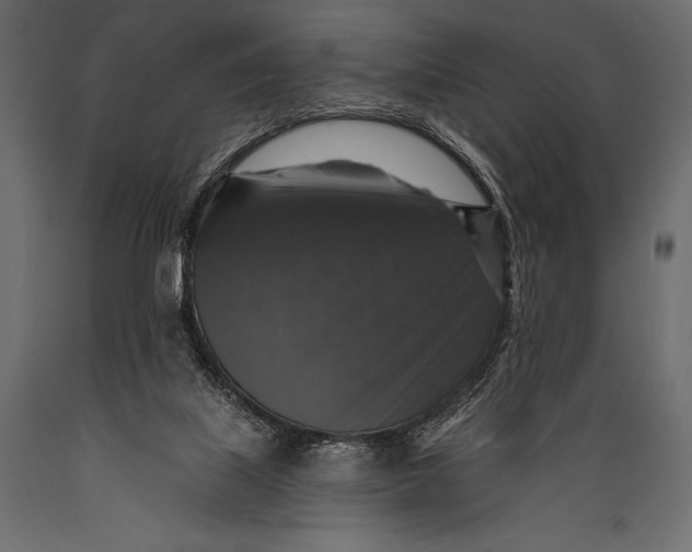 X0000088850067200706291504