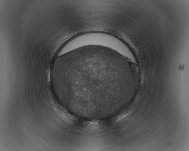 X0000088850068200706291505