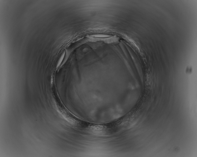 X0000088850069200706291505