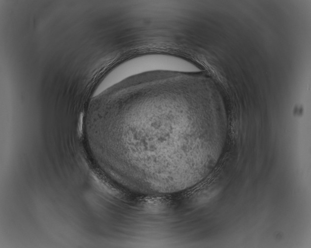 X0000088850070200706291505