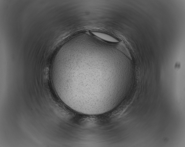 X0000088850071200706291505