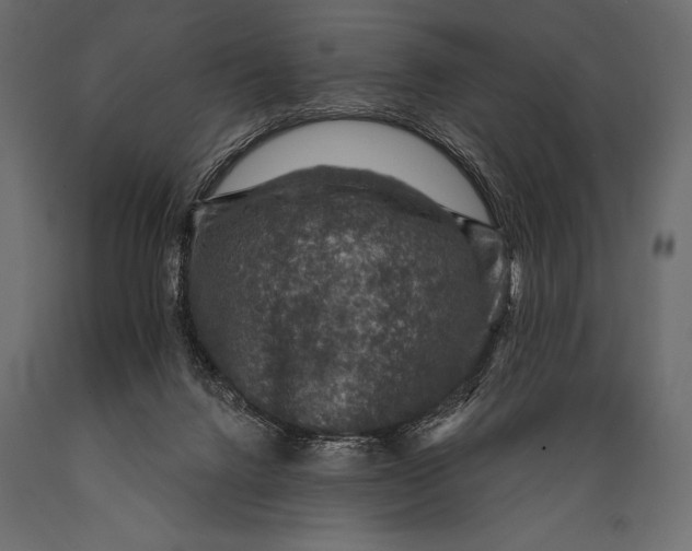 X0000088850072200706291505